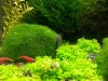 2013-03-26 21.26.57.jpg
