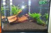 20130329_191849.jpg 20130329_191849.jpg