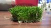 20130331_200423.geaendert.jpg