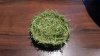 20130331_200432.geaendert.jpg