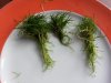 20130401_113136.geaendert.jpg