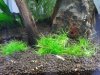 20130401_113216.geaendert.jpg