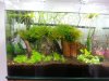 20130401_115034.geaendert.jpg