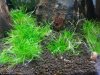 20130401_115046.geaendert.jpg