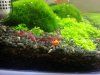2013-04-01 12.48.25.jpg