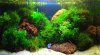 20130403Nano.jpg 20130403Nano.jpg