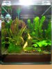 20L Cube neu.jpg