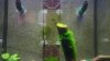 IMAG0213.jpg