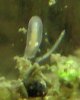 S1190107.jpg