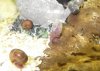 K640_Schnecks002.JPG K640_Schnecks002.JPG