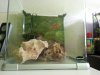 20130517_182950.jpg 20130517_182950.jpg