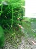 20130517_183254.jpg