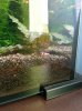 20130517_183247.jpg