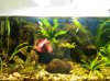 20130517_183020.jpg