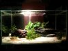 2013-03-17.jpg