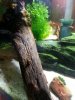 2013-05-02_1.jpg