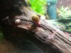 2013-05-02_4.jpg
