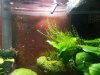 2013-05-19 16.31.57.jpg