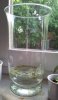 2013-05-23.jpg