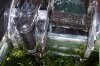 100_5950.JPG