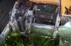 100_5951.JPG