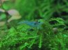 IMG_0727.JPG