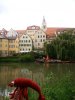 P5300205.JPG P5300205.JPG
