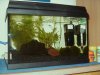 25l Aqua..JPG