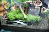 IMG_0333.JPG IMG_0333.JPG