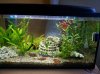 Aquarium klein.jpg Aquarium klein.jpg