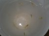 2013-06-04 14.16.02.jpg