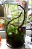 Vase1.JPG