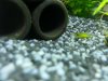 20130609_192343.jpg