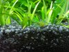 20130609_192157.jpg
