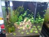 2013-06-06 15.19.36.jpg