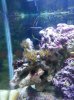 20130622_182911.jpg 20130622_182911.jpg