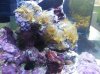 20130622_182823.jpg 20130622_182823.jpg