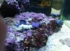 20130622_182503.jpg 20130622_182503.jpg