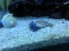 20130622_182751.jpg 20130622_182751.jpg