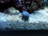 20130622_182457.jpg 20130622_182457.jpg