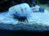 20130622_182813.jpg 20130622_182813.jpg