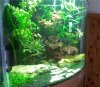 20130616_161030.jpg