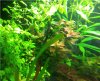 20130616_161041.jpg