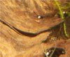 20130603_211213.jpg
