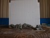 P6243835.jpg