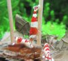 IMG_7336.jpg