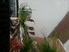 20130707_162536.jpg