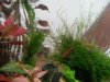 20130707_162550.jpg