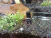 20130707_162718.jpg