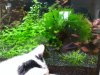 20130707_162846.jpg